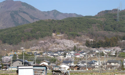 耕雲寺横吉野運動公園