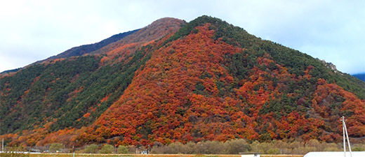 秋の葛尾山