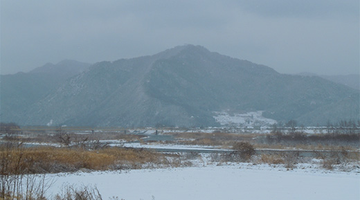 大望橋