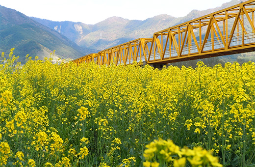 大望橋