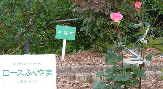 ばら公園