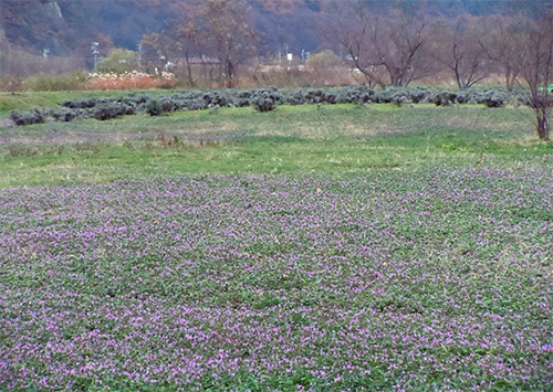 万葉運動公園