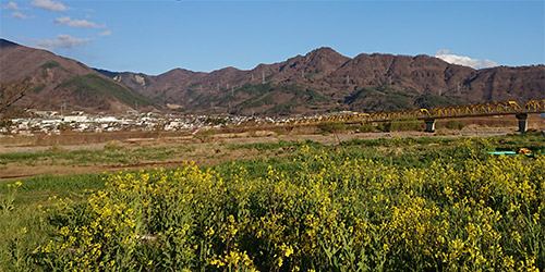 大望橋