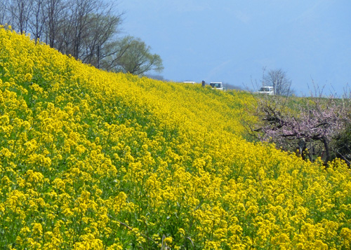 長野　屋島橋