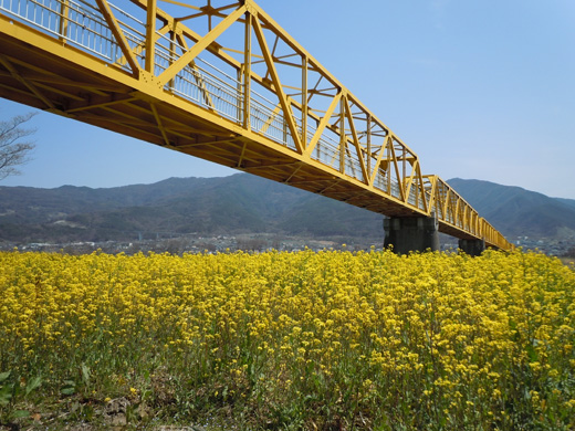 大望橋