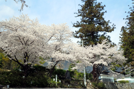 大英寺