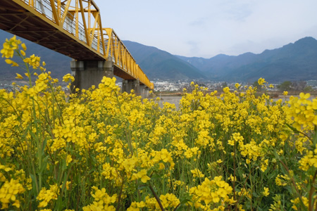 大望橋