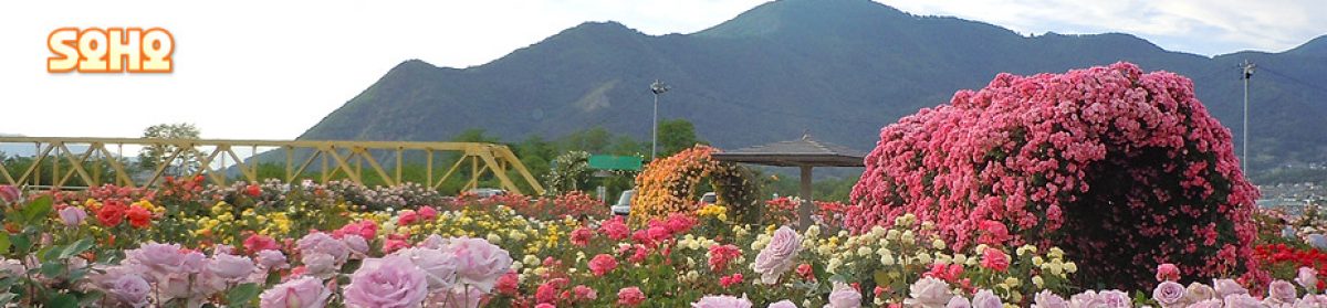 双報のいろいろ