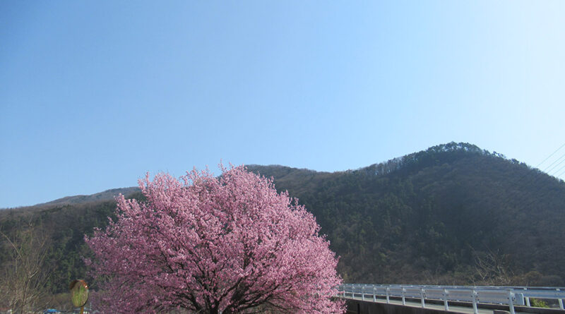 立憲こんなだから支持が伸びない