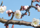4月18日夜長野県で最大震度5弱