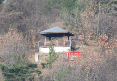 県知事20人(阿部長野知事も）献金ずさん記載　個人名義も企業所在地