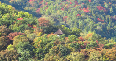 長野県内18日午後〜19日頃は平地でも雪の可能性