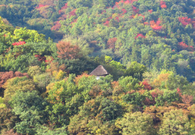 長野県内18日午後〜19日頃は平地でも雪の可能性