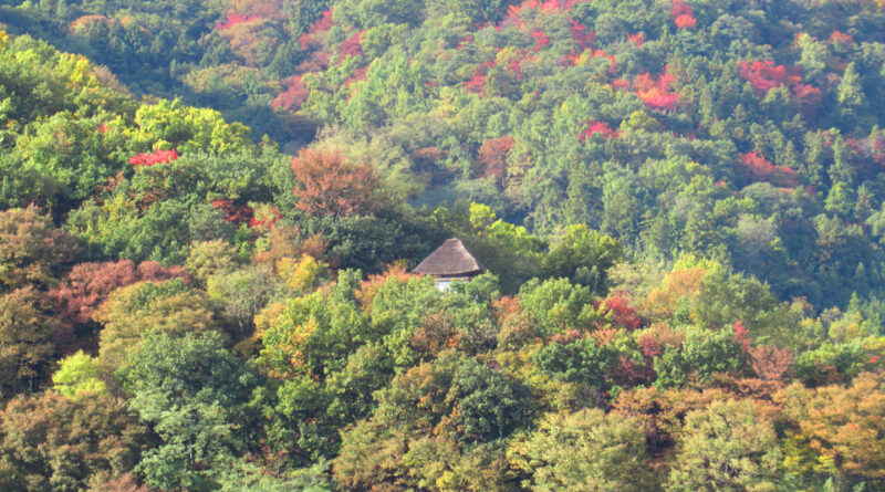 長野県内18日午後〜19日頃は平地でも雪の可能性