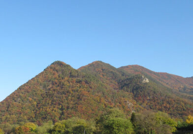 長野のガソリン価格「カルテル行為あった」と認定されました