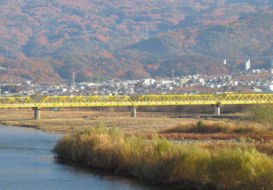 『おこめ券』は農水族とJAの「思うツボ」?