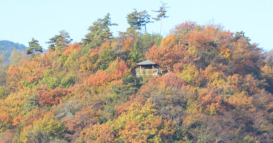 次に消えるのは「BS4K」