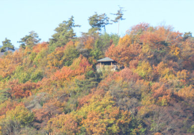 次に消えるのは「BS4K」