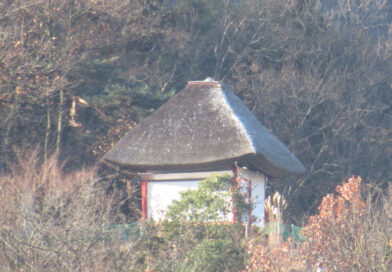 紛失防止タグ→スマホの設定で悪用見抜く