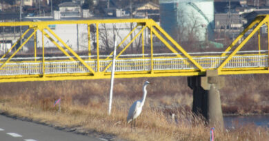 異例の最短選挙