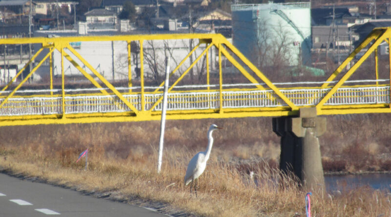 異例の最短選挙