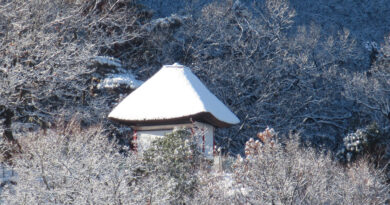 トランプ関税「違法」判断も…大統領はすぐさま新たな関税の導入発表 これが 世界の混乱の元