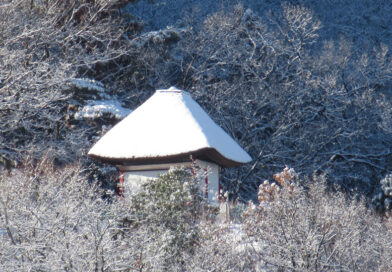 トランプ関税「違法」判断も…大統領はすぐさま新たな関税の導入発表 これが 世界の混乱の元