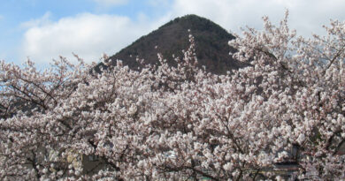 深夜のコンビニ駐車場に包丁のような刃物をもった男