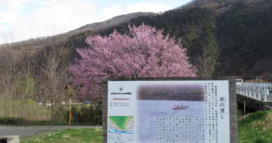 今度は長野市裾花川の河川敷にイノシシ